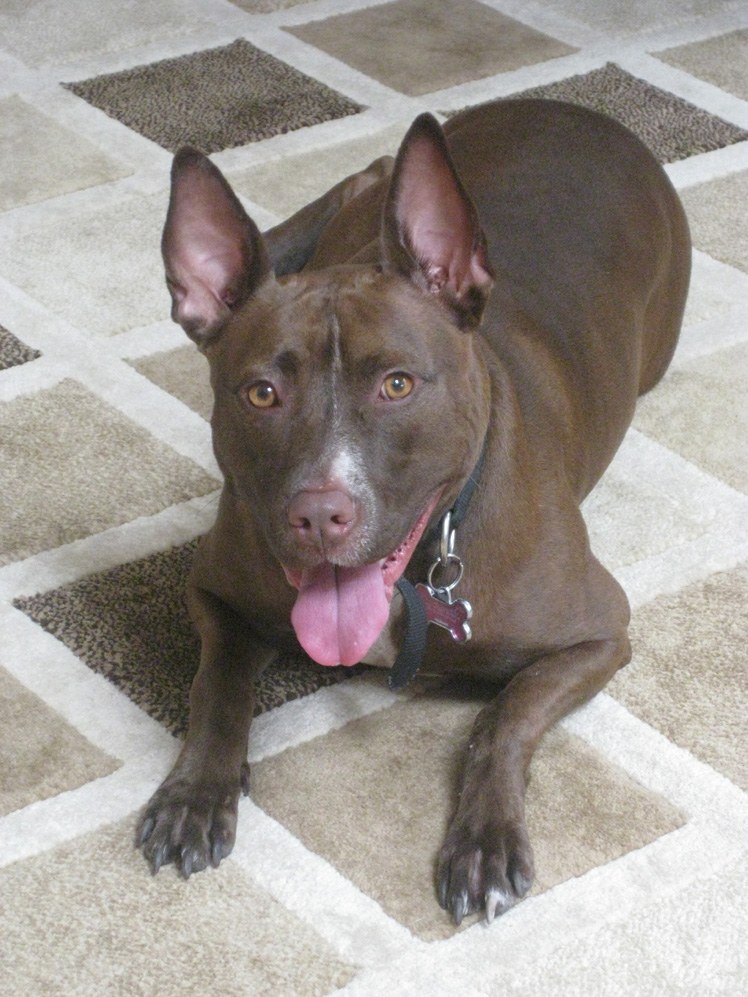 Unknown Artist felony1